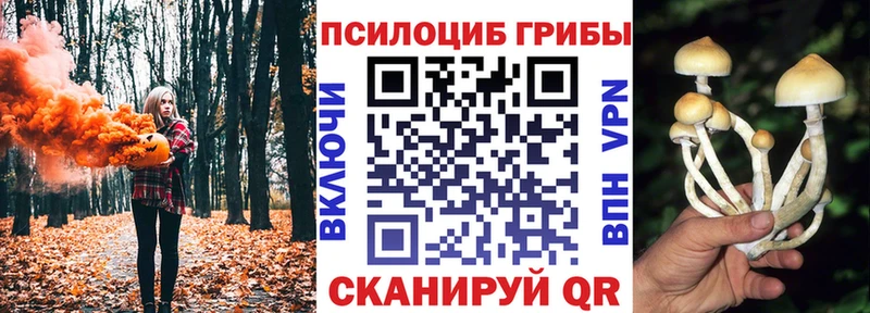 Купить закладки  Абакан  Галлюциногенные грибы мицелий 