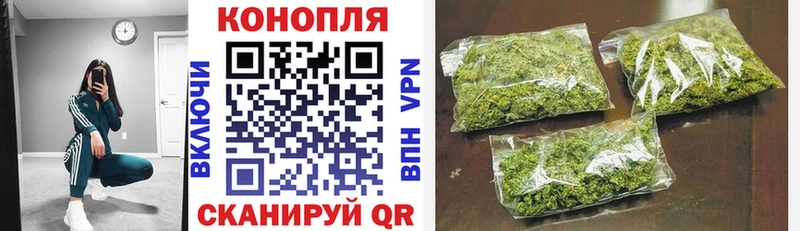 Купить  Абакан  Конопля сатива 